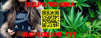 индика Нягань
