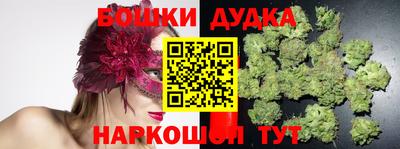 гашик Обнинск