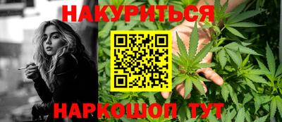 индика Нягань