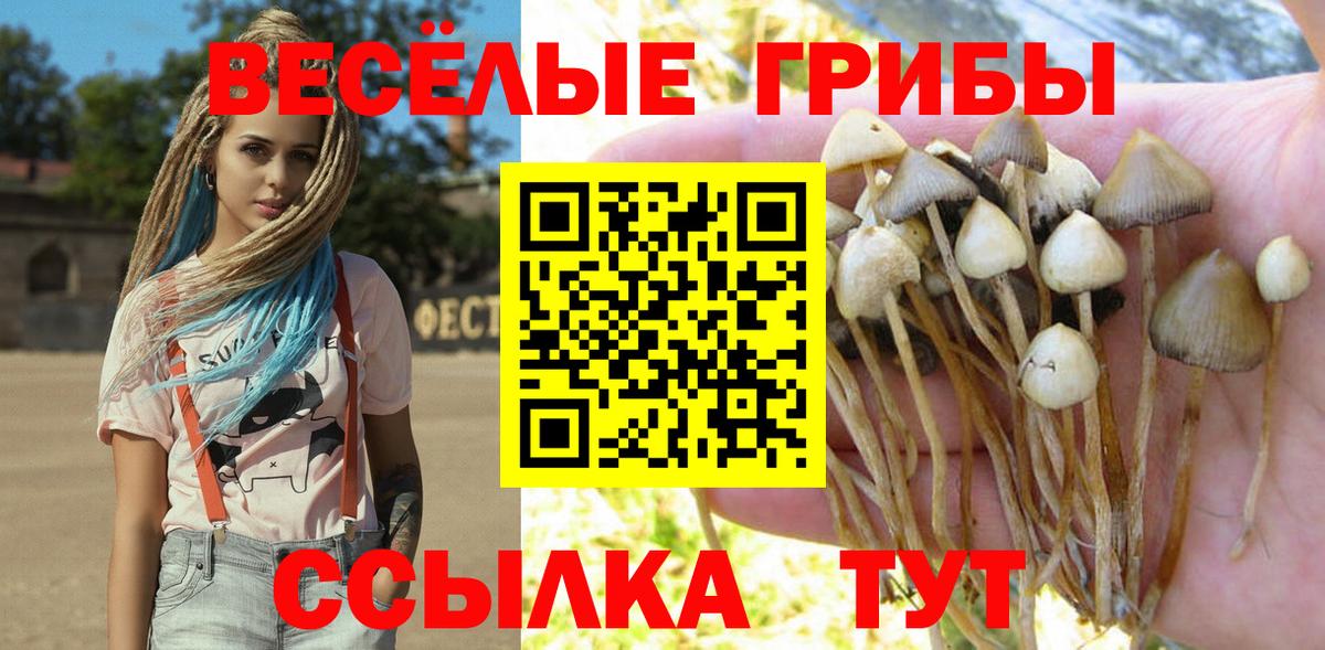 Псилоцибиновые грибы GOLDEN TEACHER Чистополь