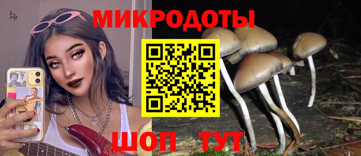 Галлюциногенные грибы Psilocybine cubensis  Вход с VPN  Чистополь 